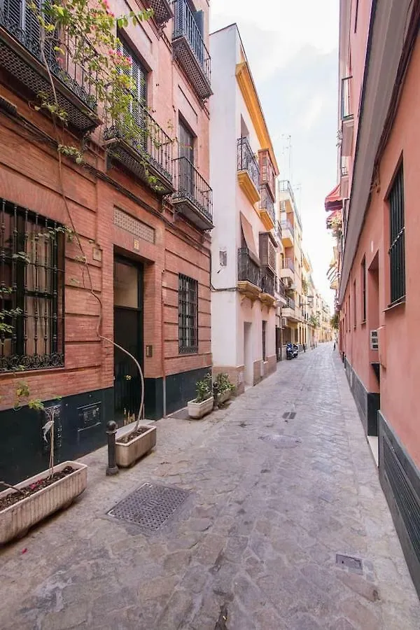 Redes Sevilla Central Spain